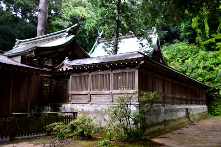 Sasamuta-jinja honden