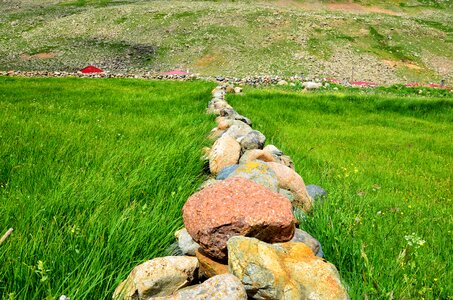Nature green kaçkars