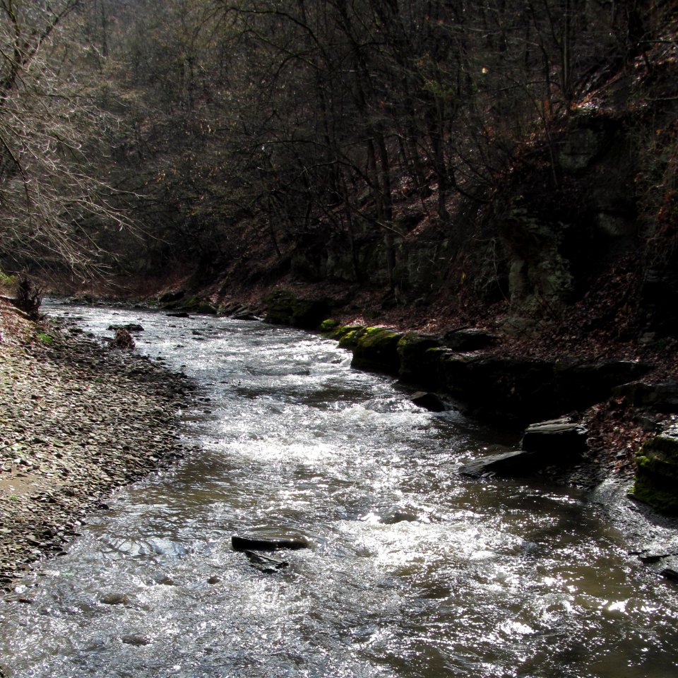 Saw Mill Run, Seldom Seen, 2021-03-28, 03