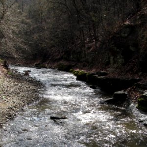 Saw Mill Run, Seldom Seen, 2021-03-28, 03