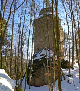 Saxenegg-1020297-Turm-vonNorden