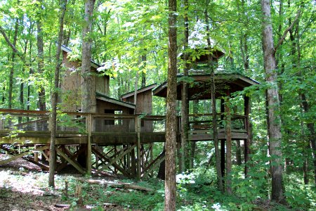 Sawnee Mountain preserve treehouse, June 2019