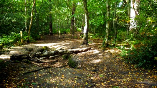 Sawpit, Highwoods, Bexhill