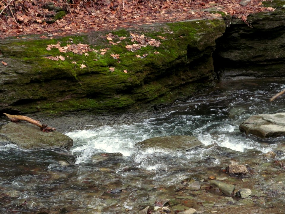 Saw Mill Run, Seldom Seen, 2021-01-02, 03