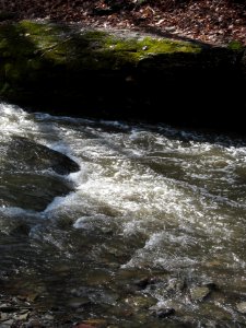 Saw Mill Run, Seldom Seen, 2021-03-28, 02