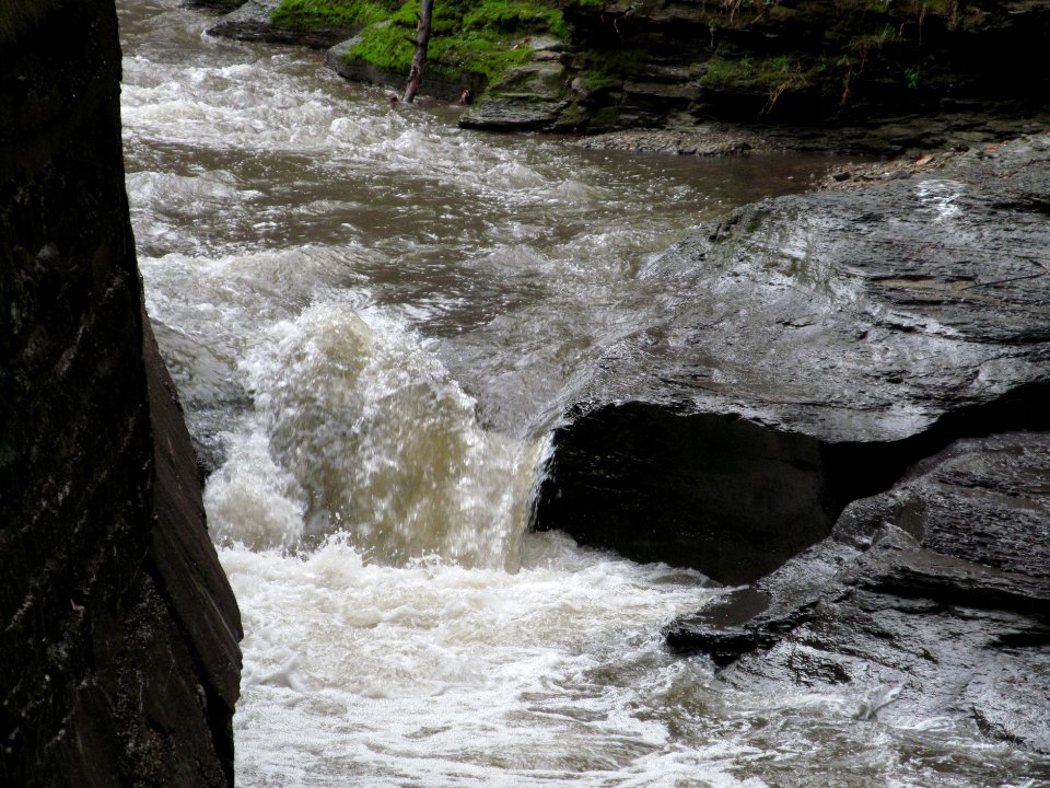 Saw Mill Run, Seldom Seen, 2021-03-28, 05