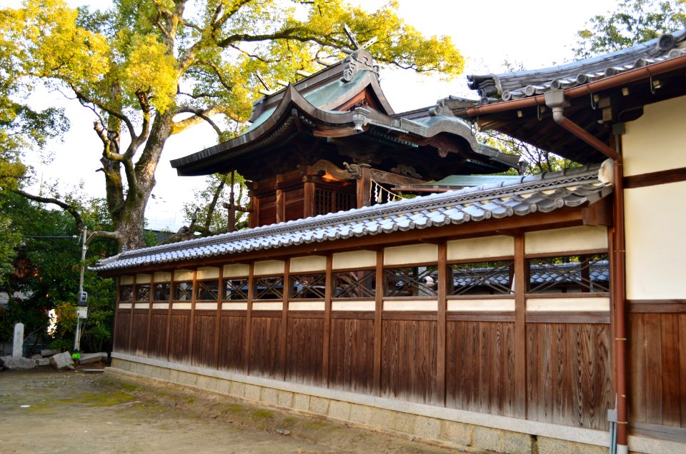 Sawaragi-jinja, honden