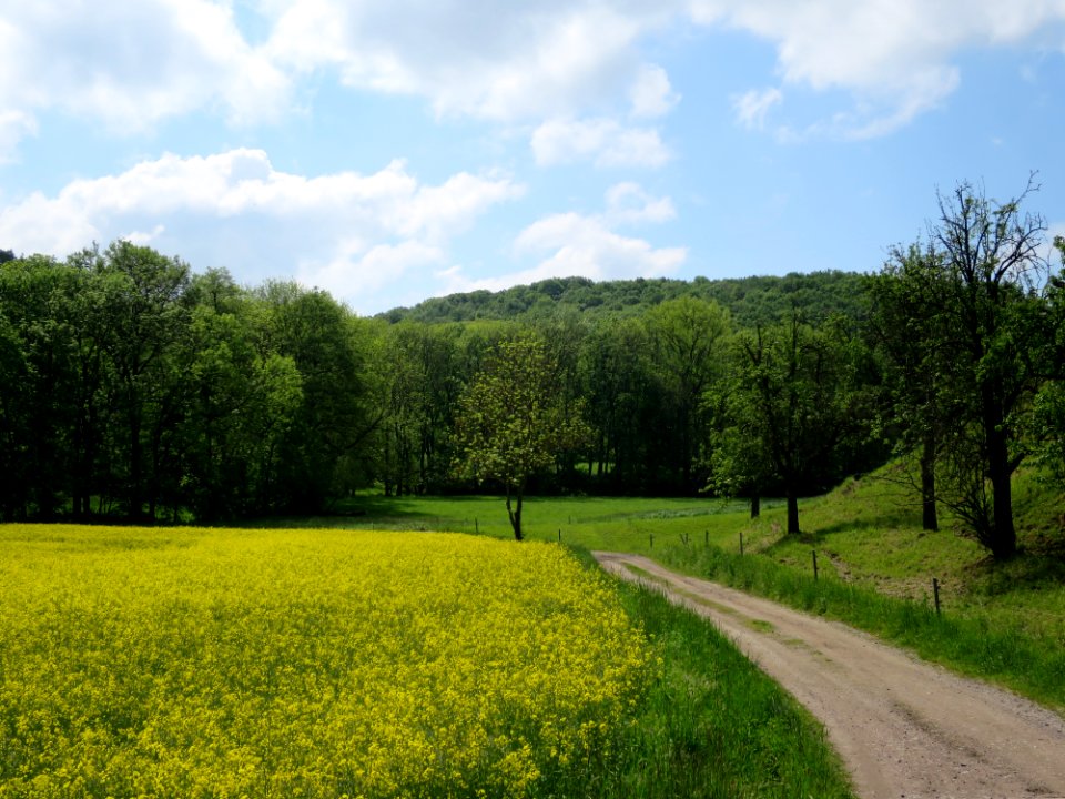 Saubachtal 4