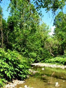 Saw Mill Run, Seldom Seen, 2020-08-30, 02