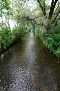Saubach Langengeisling 1