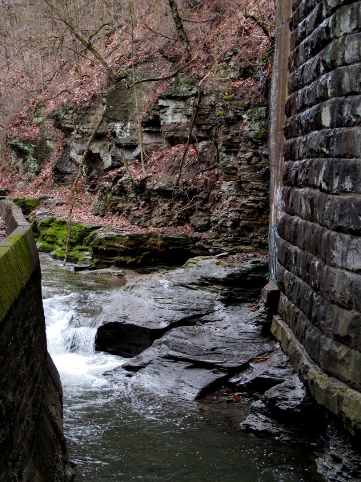 Saw Mill Run, Seldom Seen, 2021-01-02, 04