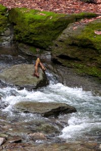 Saw Mill Run, Seldom Seen, 2021-01-02, 01