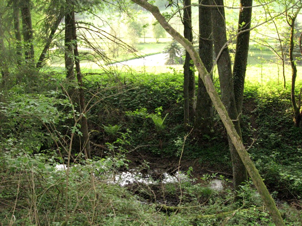Sauerbach bei Fronrot am Hang, dahinter Klärteiche im Tal