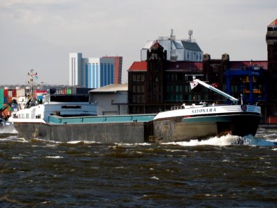 Sayonara, ENI 02325534, Noordzeekanaal, Port of Amsterdam, pic1