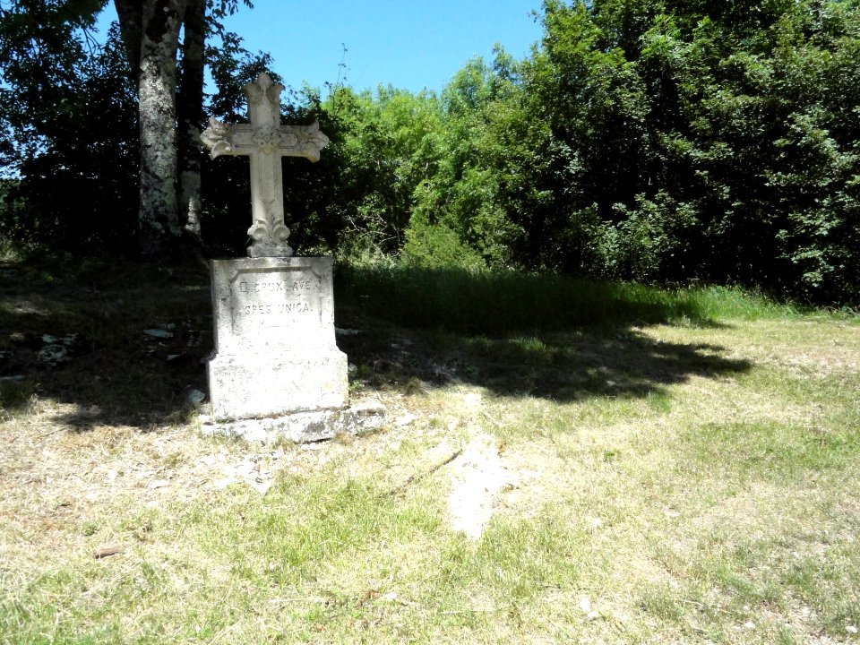 Saucourt-sur-Rognon, croix de chemin