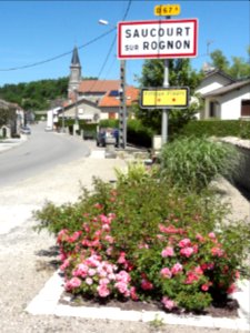Saucourt-sur-Rognon (Doulaincourt-Saucourt), city limit sign