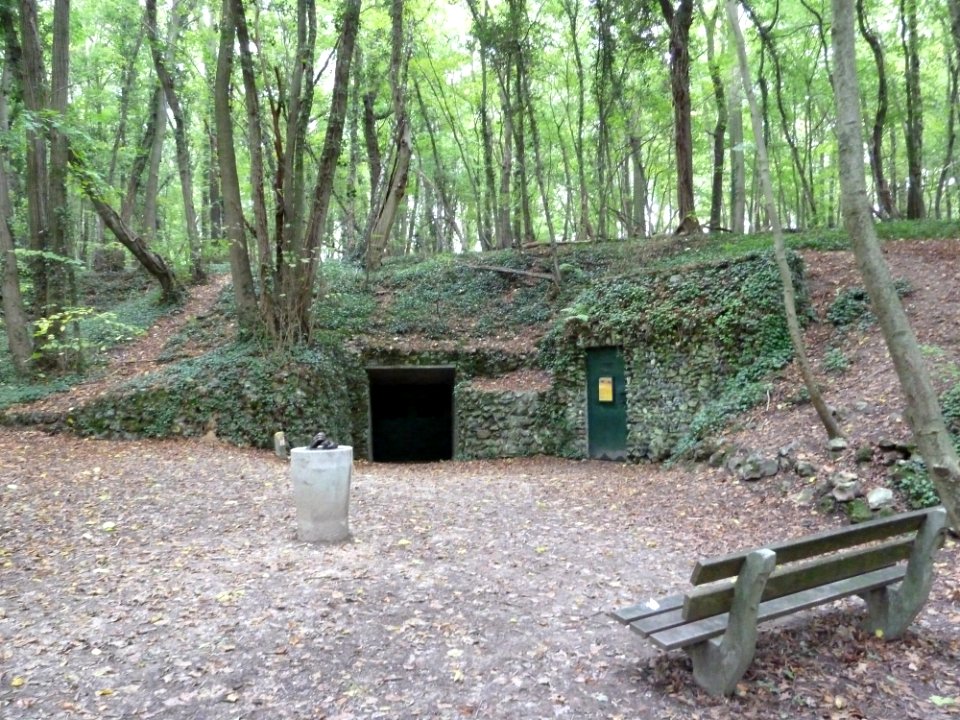 Savelsbosch-Vuursteenmijn (1)