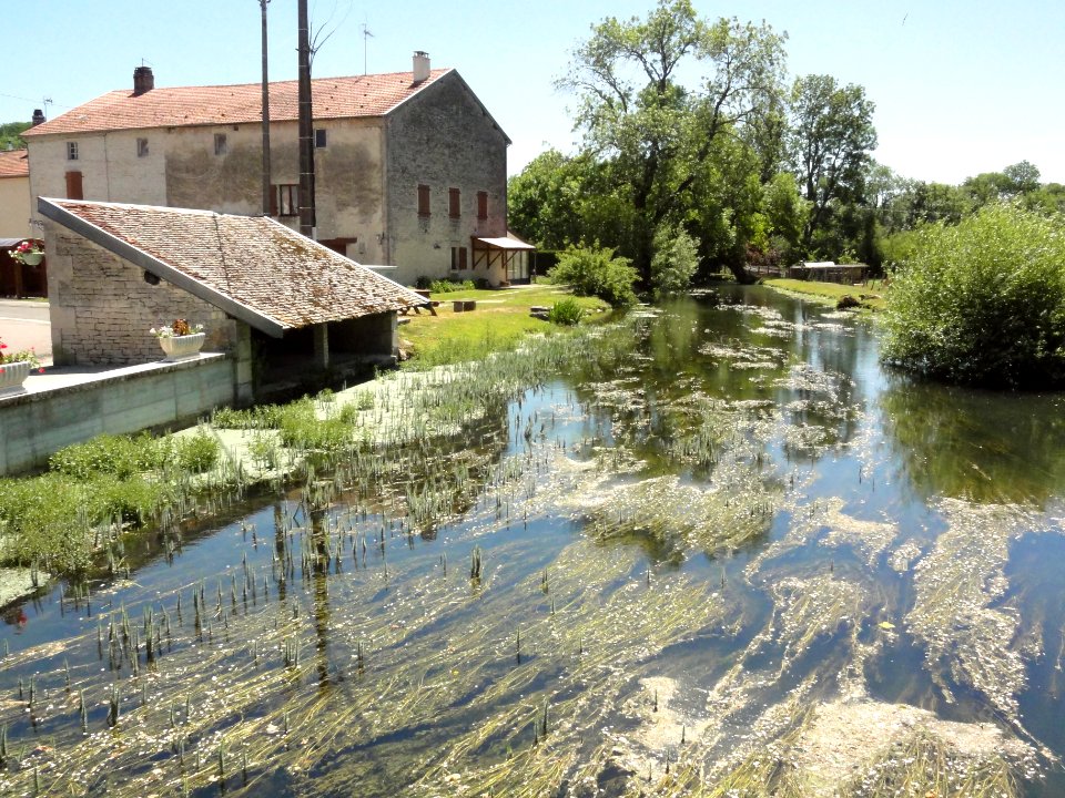 Saucourt, lavoir du bief du Rognon (01)