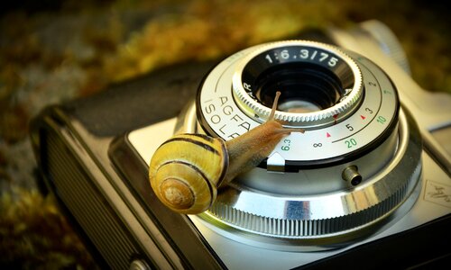 Snail tape worm lens