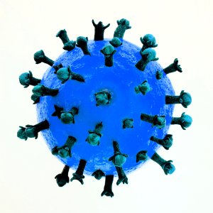 SARS-CoV-2.blau.P1067513