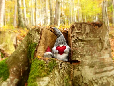 Forest autumn fairy tales