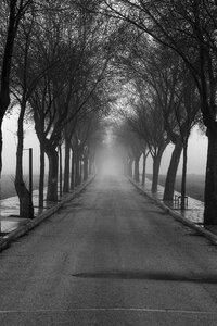 Landscape nature winter