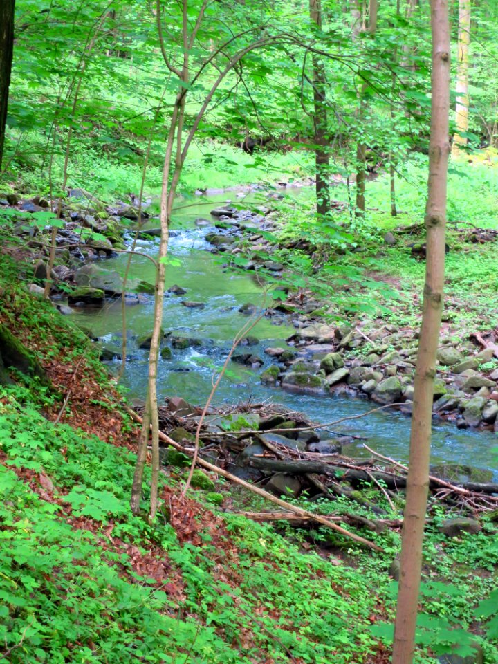 Saubachtal 1