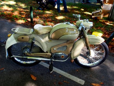 Sarolea pic3