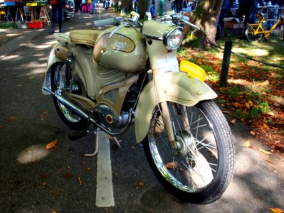 Sarolea pic5