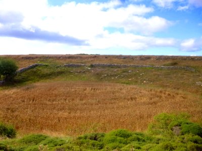 Sargentes de la Lora 007