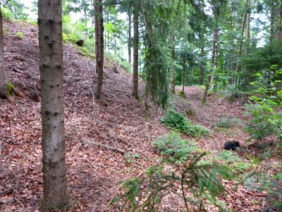 Sarmingstein-Oberoesterreich-Huegelburg-Ringgraben