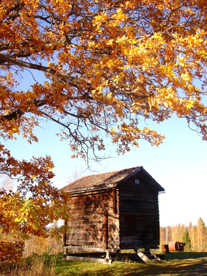 The valleys autumn sweden
