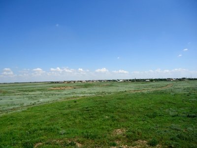 Sari-BashCr 4