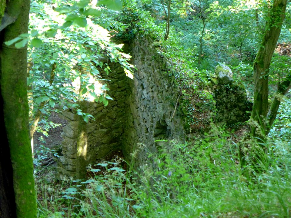 Sarmingstein-Oberoesterreich-Vorburg-Torbau