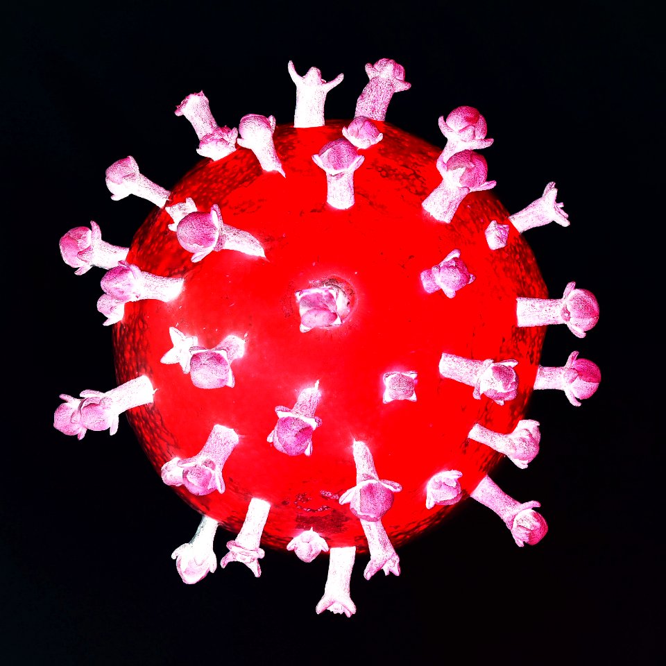 SARS-CoV-2.rot.P1067513