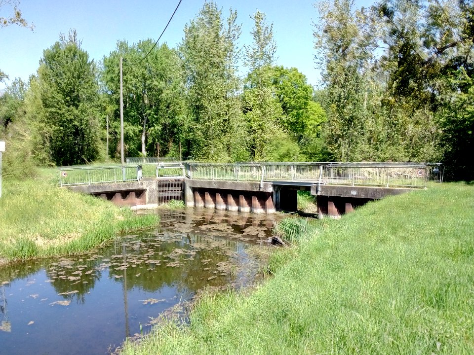 Sasbach-Mühlbach, Polder Söllingen-Greffern. Abzweig Mühlbach-Entlastung nach rechts