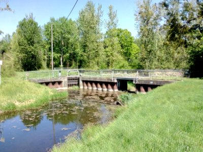 Sasbach-Mühlbach, Polder Söllingen-Greffern. Abzweig Mühlbach-Entlastung nach rechts