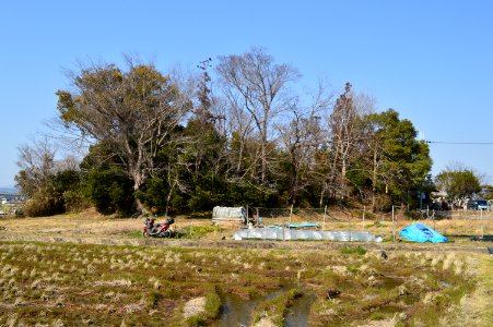 Sasahokoyama Kofun Group-1, funkyu