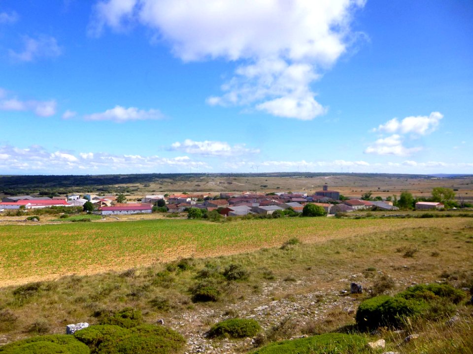 Sargentes de la Lora 003