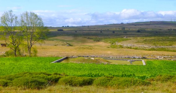 Sargentes de la Lora - Dólmen de la Cabaña 8