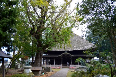 Satake-ji keidai photo