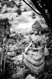 Zen buddhism religion photo