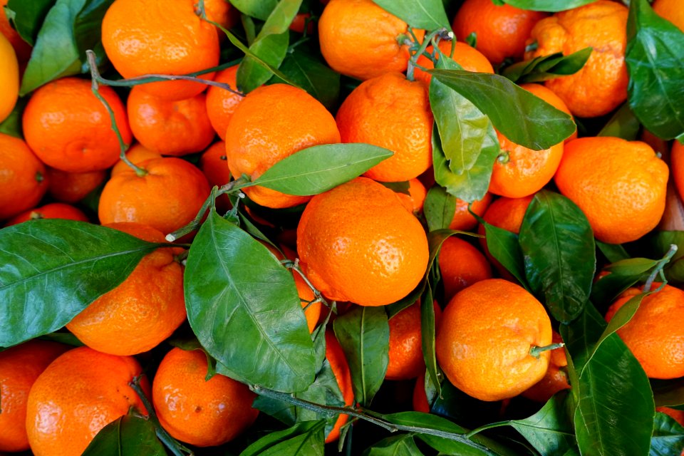 Satsuma mandarins - San Francisco, CA - DSC02398