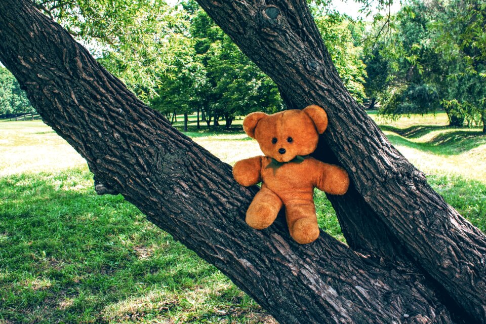 Teddy soft childhood