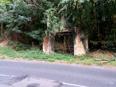 Sathonay-Village - Montée du Village, portail perdu (2)