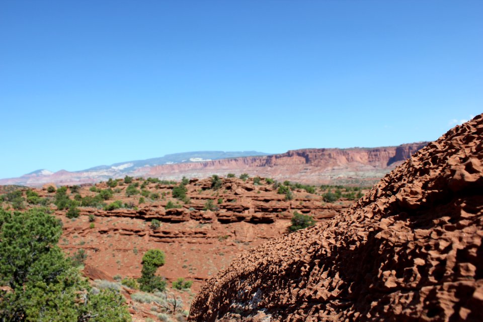 Scenery of Capitol Reef