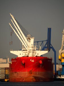 SBI Apollo (ship, 2016) IMO 9760079 Bosporushaven, Port of Amsterdam pic2
