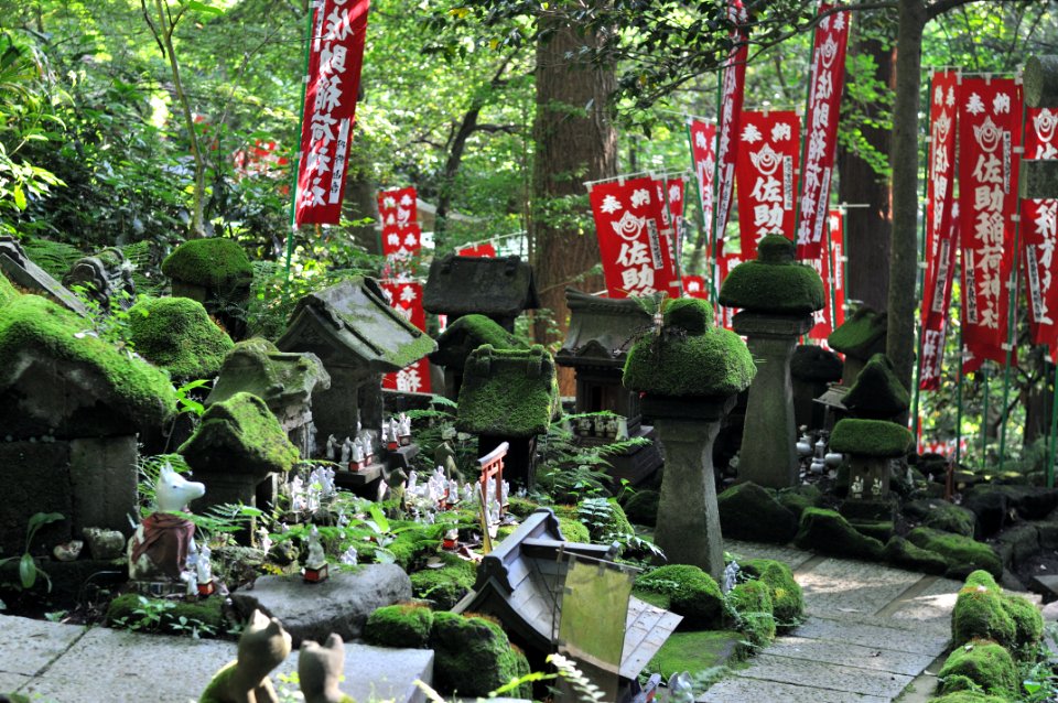 Sasuke inari jinja 003