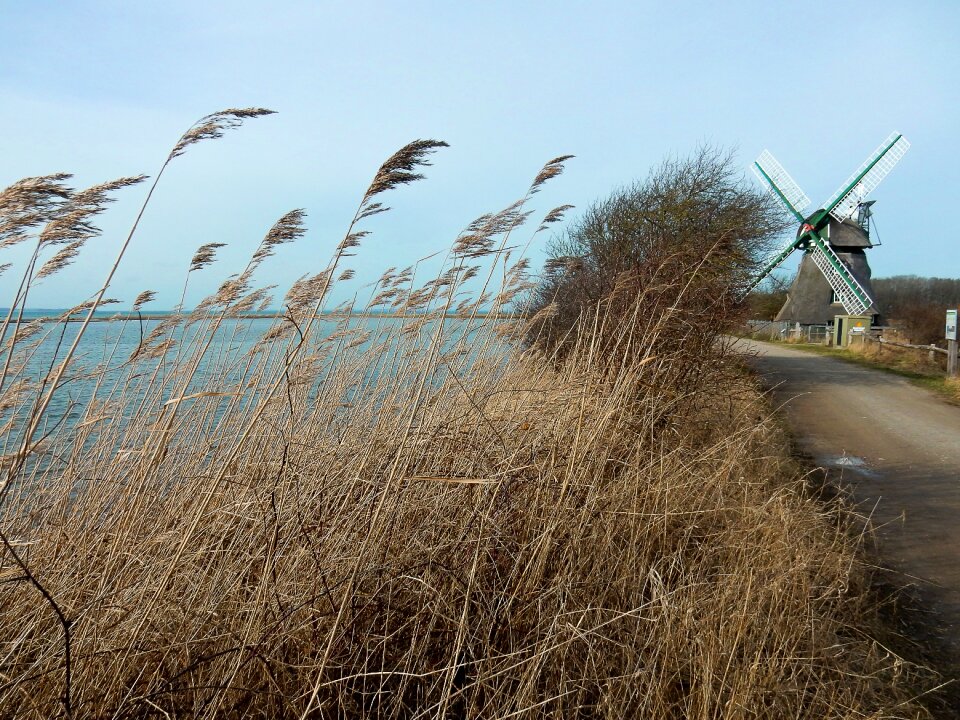 Baltic sea nature reserve geltinger noor