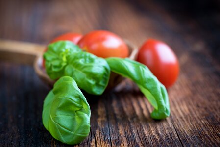 Plant herbs food photo